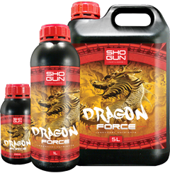 Shogun Dragon Force - Click Image to Close